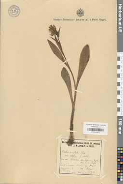 LE 01032471