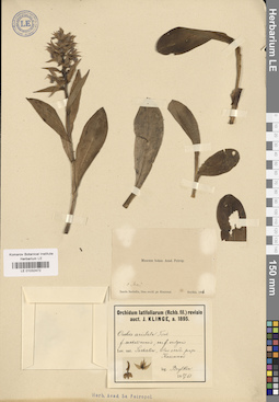 LE 01032472