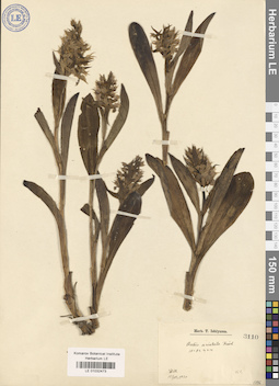 LE 01032473
