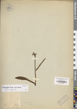 LE 01032474