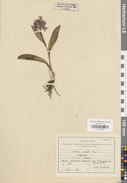 LE 01032478