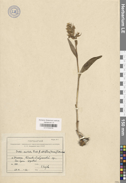 LE 01032479