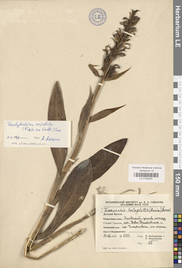 LE 01032491