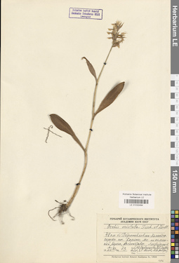 LE 01032494