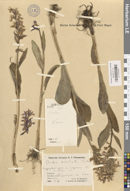 LE 01032497