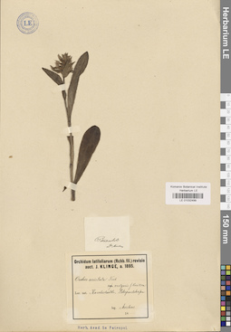 LE 01032499