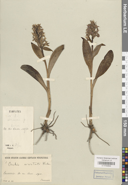 LE 01032503