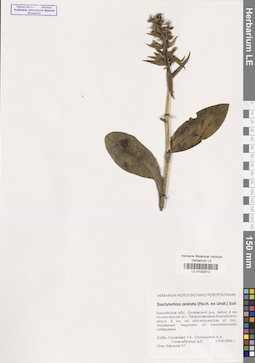 LE 01032512