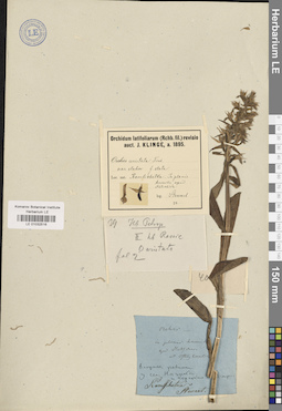 LE 01032516