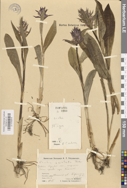 LE 01032519