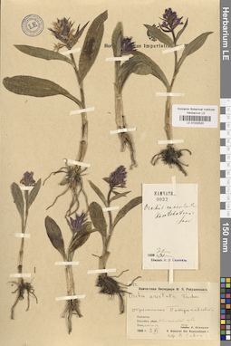 LE 01032520