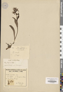 LE 01032539