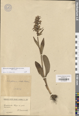 LE 01032679