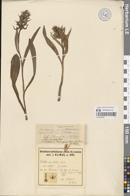 LE 01251304