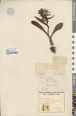 LE 01251317