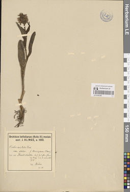 LE 01251322
