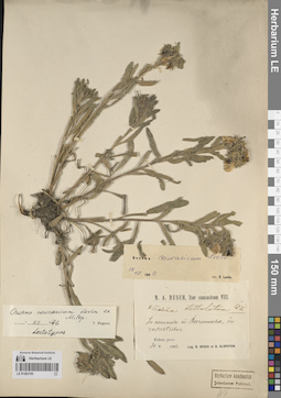 LE 01262195