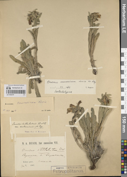 LE 01262197
