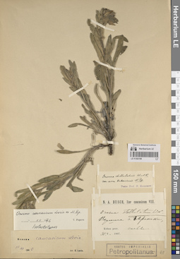 LE 01262198