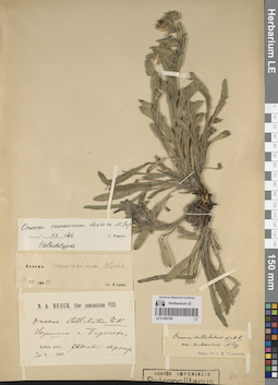 LE 01262199