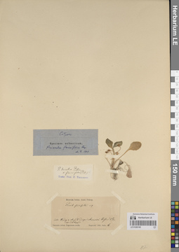 LE 01262145