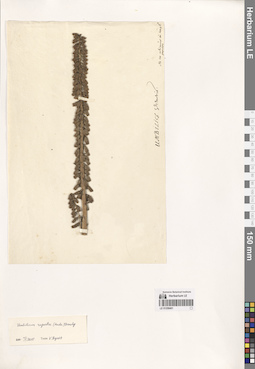 LE 01259401