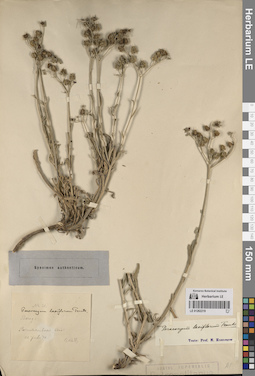 LE 01262219