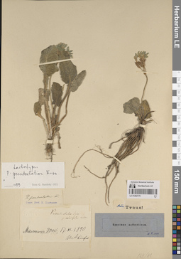 LE 01262176