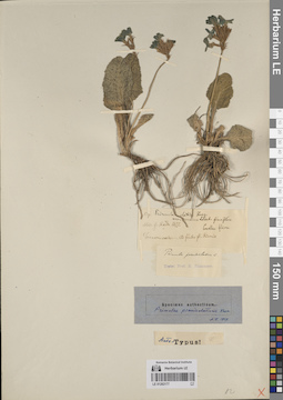 LE 01262177