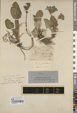 LE 01262178