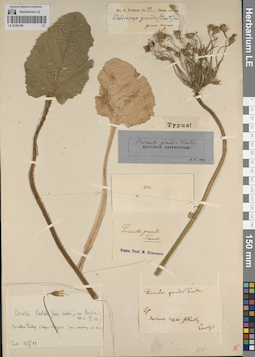 LE 01262188