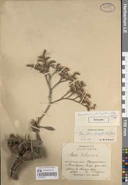 LE 01262191