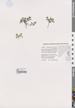 LE 01259218