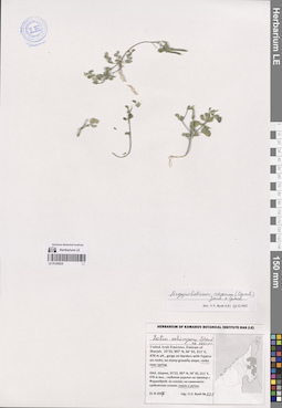LE 01259225