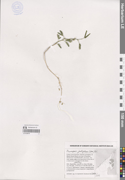 LE 01259318