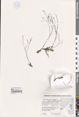 LE 01259352