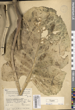 LE 01071408