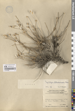 LE 01261465