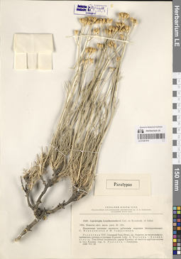 LE 01261474