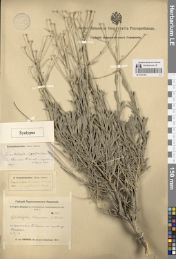 LE 01261481