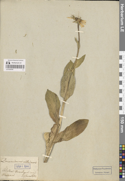 LE 01261501