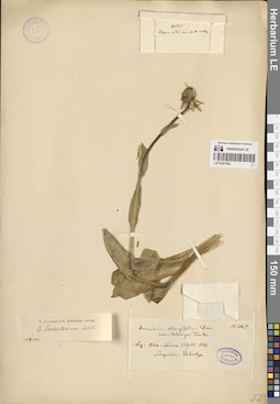 LE 01261502