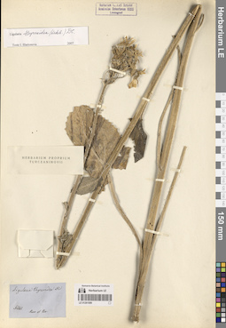 LE 01261509
