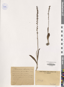 LE 01032545