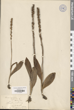 LE 01032547