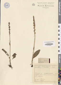LE 01032548