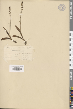 LE 01032560