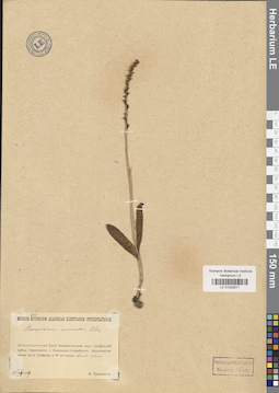 LE 01032571