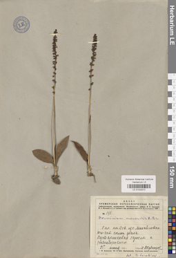 LE 01032572
