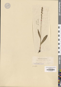 LE 01032575